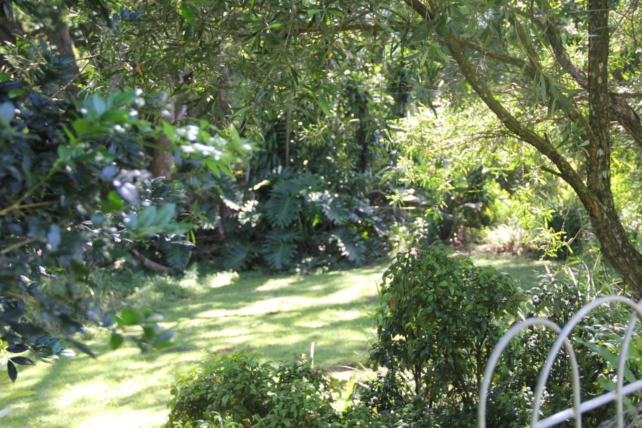 Le Residence De Josephine Kloof Exterior photo